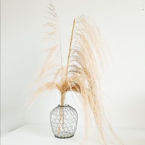 Anthropologie Pampas Grass Decor